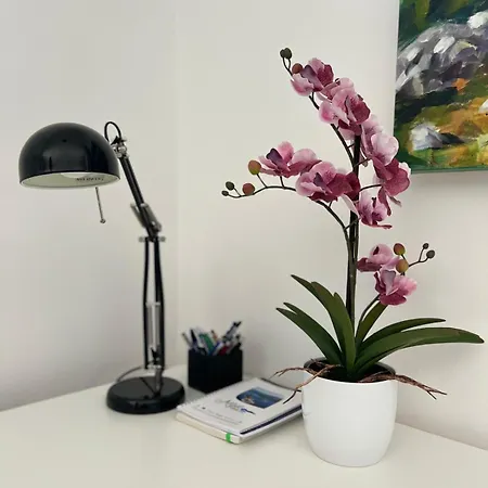 Apartmán Blue Manor